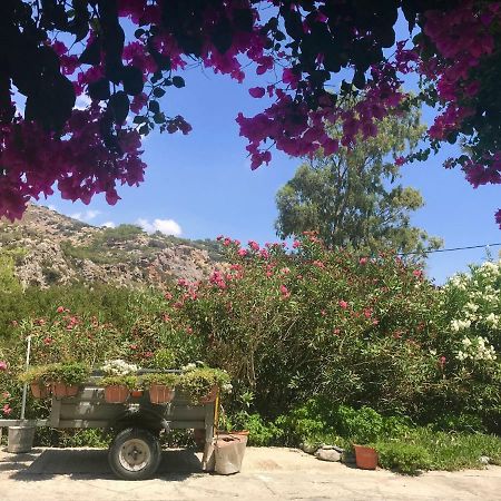 Lissos Rooms Sougia Dış mekan fotoğraf